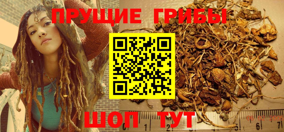 Фролово  Псилоцибиновые грибы MAGIC MUSHROOMS  Вход с VPN  Псилоцибиновые грибы MAGIC MUSHROOMS 